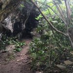 Cueva Golondrinas Manatí, Puerto Rico