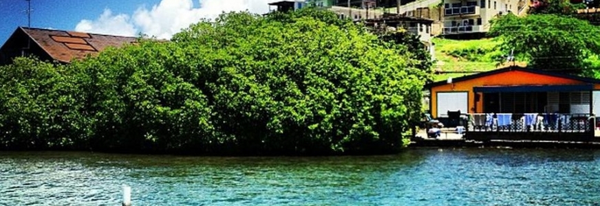 Culebrita Island Culebra, Puerto Rico