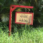 Eye on the Rainforest Patillas, Puerto Rico