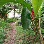 Eye on the Rainforest Patillas, Puerto Rico