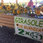Finca El Girasol Guanica, Puerto rico