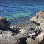 Guanica Dry Forest Guánica, Puerto Rico