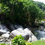 Hacienda_Amaekia3_0 Hacienda Amaekia Naguabo, Puerto Rico
