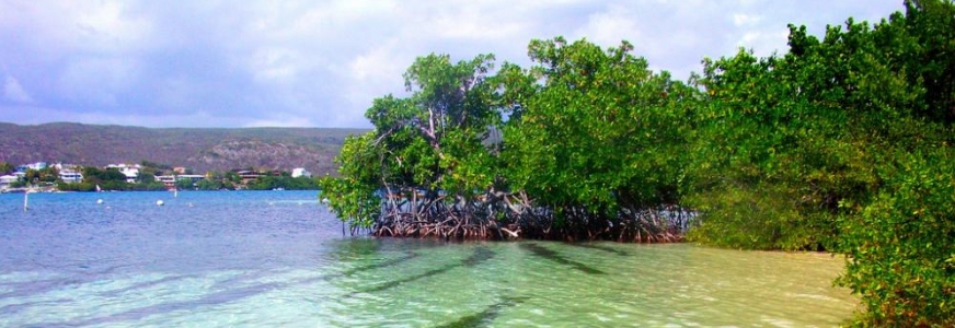 Giligans Island Guánica, Puerto Rico