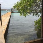 Isla Mata La Gata Lajas, Puerto Rico