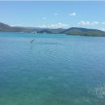 Isla Mata La Gata Lajas, Puerto Rico