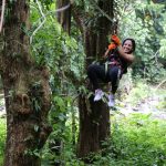 JungleQui Zipline Park at El Yunque Rainforest