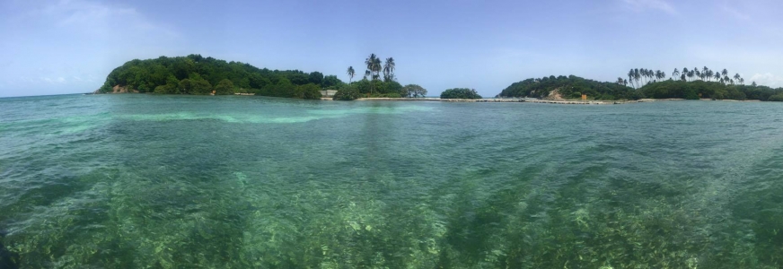 La Paseadora Monkey Island Tour Naguabo, Puerto Rico