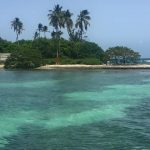 La Paseadora Monkey Island Tour Naguabo, Puerto Rico