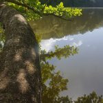 Lago Carraizo Trujillo Alto, Puerto Rico
