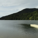 Lago Cerrillos Ponce, Puerto Rico
