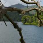 Lago Patillas, Puerto Rico