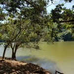 Lago de Yauco, Puerto Rico