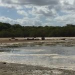 Laguna Guaniquilla Cabo Rojo, Puerto Rico