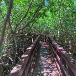 Laguna Kiani Vieques, Puerto Rico