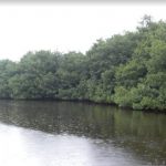 Laguna La Torrecilla Carolina, Puerto Rico