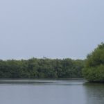 Laguna La Torrecilla Carolina, Puerto Rico