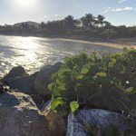 Laguna Playa Grande Vieques, Puerto Rico