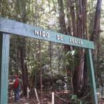 Laguna Tortuguero Vega Baja, Puerto Rico