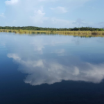 Laguna Tortuguero Vega Baja, Puerto Rico