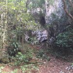 Las Cabachuelas Morovis, Puerto Rico