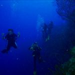 Paradise Scuba & Snorkeling Center Lajas, Puerto Rico