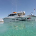 Paradise Scuba & Snorkeling Center Lajas, Puerto Rico