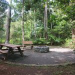Parque Ecológico Monte del Estado Maricao, Puerto Rico