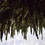 Parque de las Cavernas del Río Camuy Lares, Puerto Rico