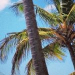 Playa Villa Pesquera