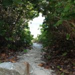 Playa La Plata Vieques, Puerto Rico