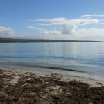 Playa Ballenas Guánica, Puerto Rico