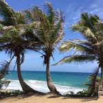 Playa El Pastillo Isabela, Puerto Rico