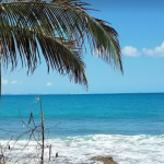 Playa Gallito Vieques, Puerto Rico
