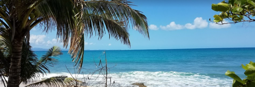 Playa Gallito Vieques, Puerto Rico