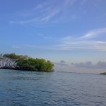 Playa Manglillo Pequeño Guánica, Puerto Rico