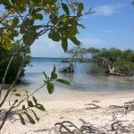 Playa Manglillo Pequeño Guánica, Puerto Rico