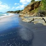 Playa Negrita (Black Sand Beach) Vieques, Puerto Rico