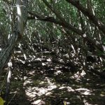 Playa Resaca Culebra, Puerto Rico