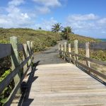 Playa de Piñones Loíza, Puerto Rico