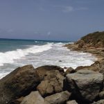 Playa Grande Vieques, Puerto Rico