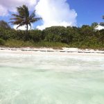 Playa La Plata Vieques, Puerto Rico