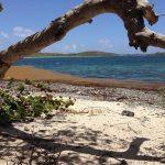 Playa Escondida Vieques, Puerto Rico