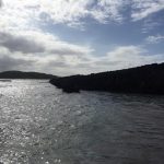 Pozo de las Golondrinas Isabela, Puerto Rico