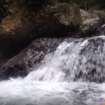 Puente La Hamaca Adjuntas, Puerto Rico