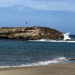 Playa Puerto de las Vacas Barceloneta, Puerto Rico