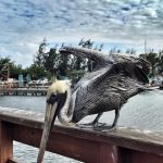 Punta Carenero Ponce, Puerto Rico