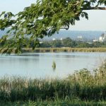 Reserva Natural Ciénagas de las Cucharillas Cataño, Puerto Rico