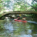 Reserva Natural de Humacao, Puerto Rico