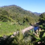 Restaurant Vista Al Rio